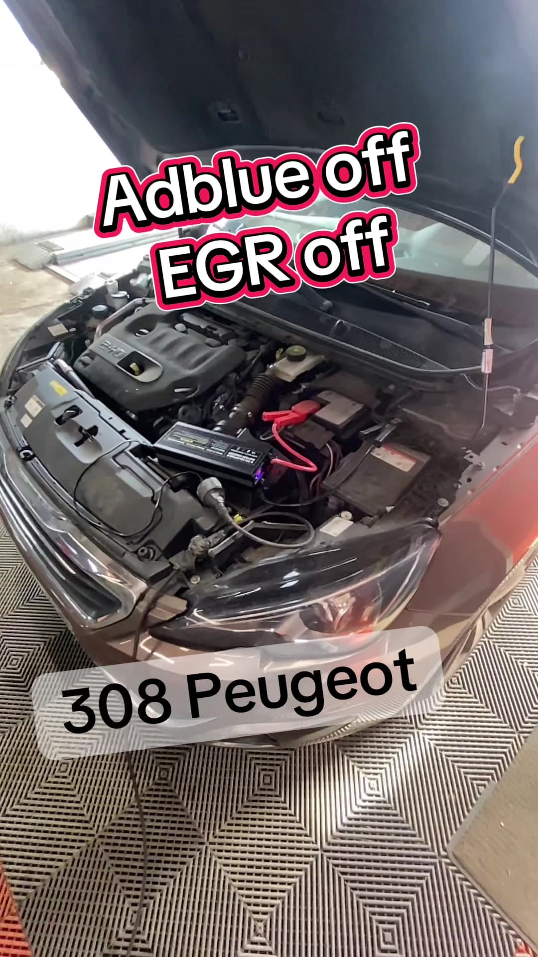 Résolution problème AdBlue + suppression EGR préventive