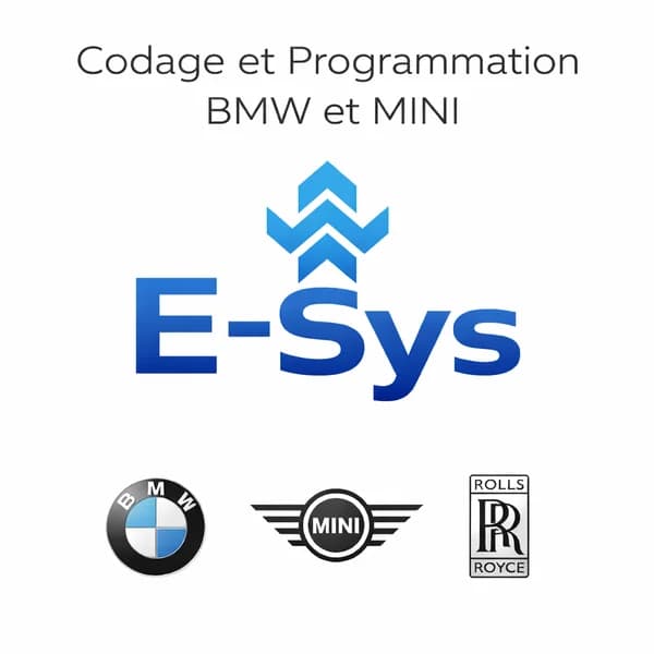 Esys + Esys Launcher Pro